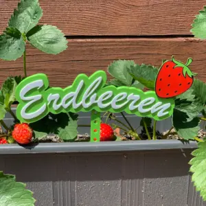 Schild - Erdbeeren